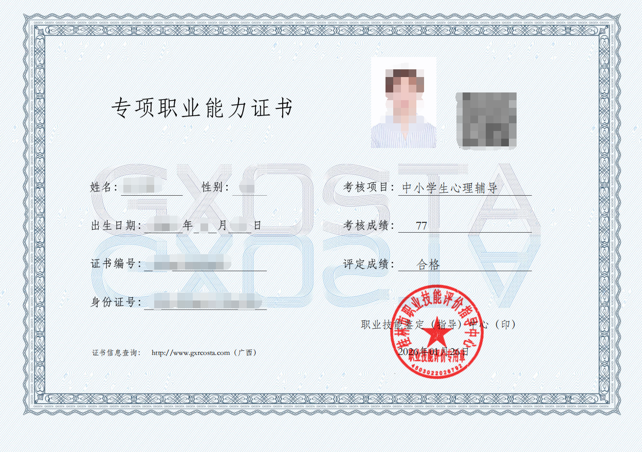 专项职业能力证书样本